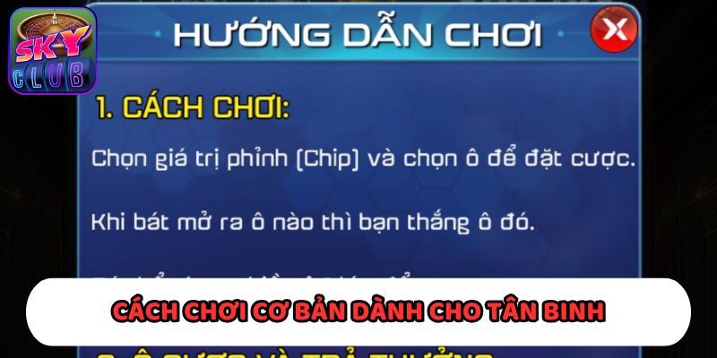 Trình tự cơ bản về trò chơi Xóc Đĩa trên cổng game trực tuyến